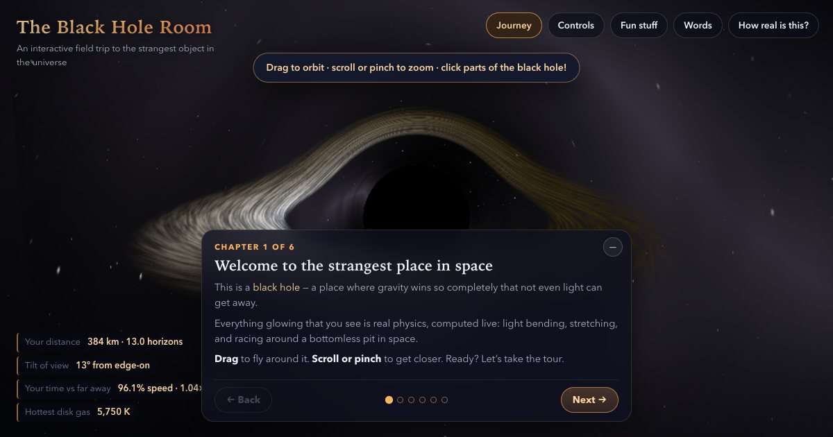 Screenshot of the Black Hole Simulation demo